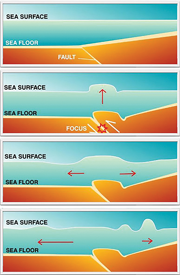 Tsunamis are most often generated by shallow earthquakes.