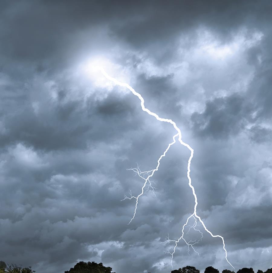 Lightning flashes across the sky in a field during a storm.