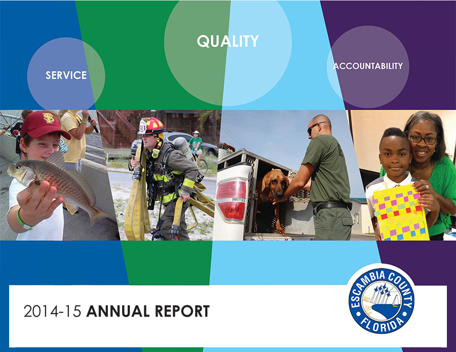 2015 Annual Report