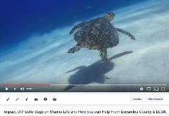 Escambia County and ECUA Plastic Bag PSA