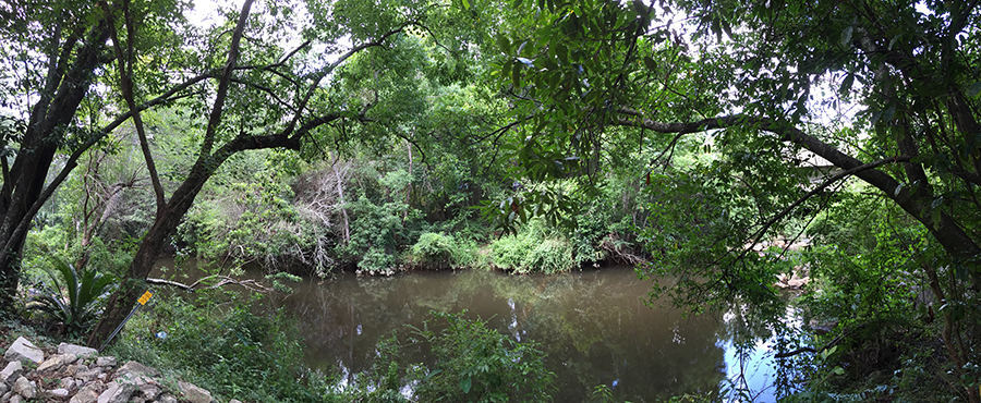 Carpenter Creek