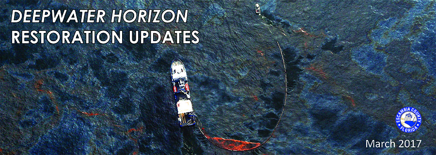 March 2017 RESTORE Update Header
