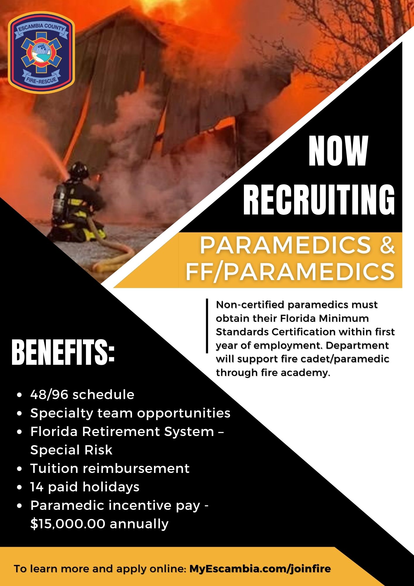 Updated ECFR recruitment flyer
