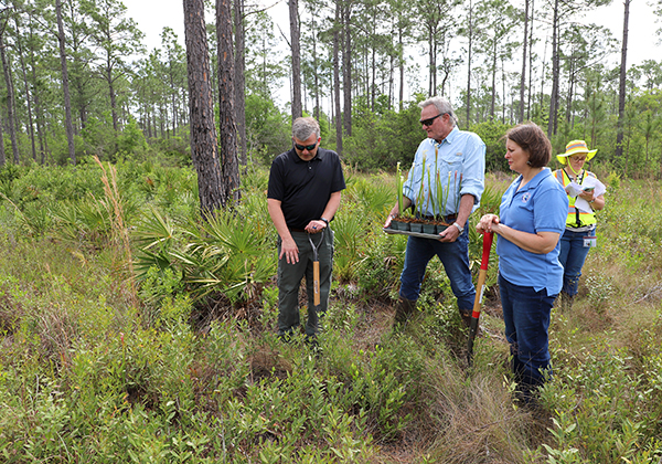 Natural Resources planting Natural Resources planting