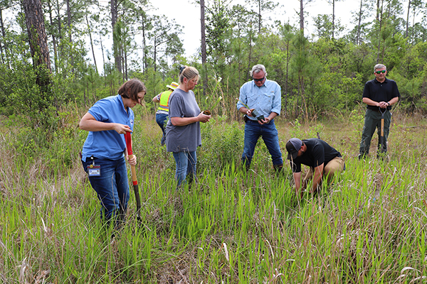 Natural Resources planting Natural Resources planting
