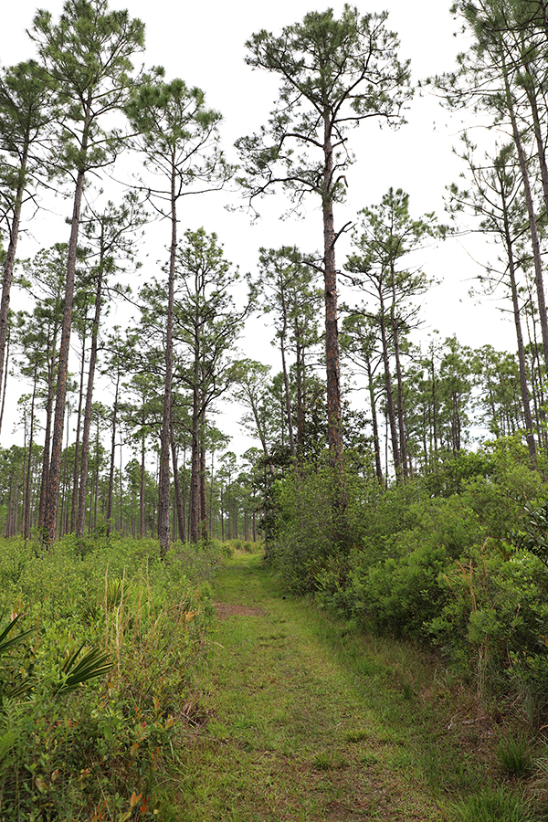 Southwest Nature Trail Southwest Nature Trail
