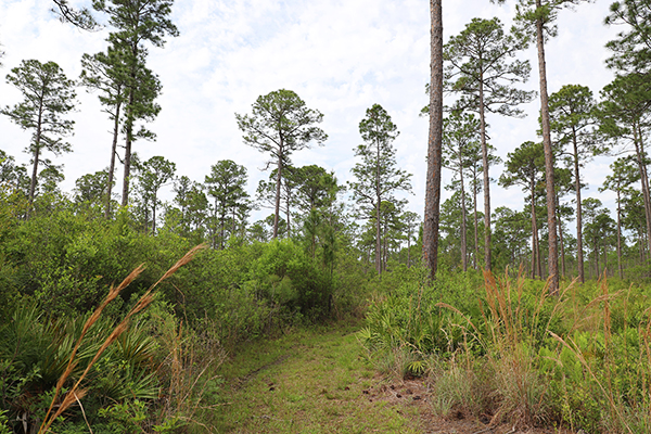 Southwest Nature Trail Southwest Nature Trail