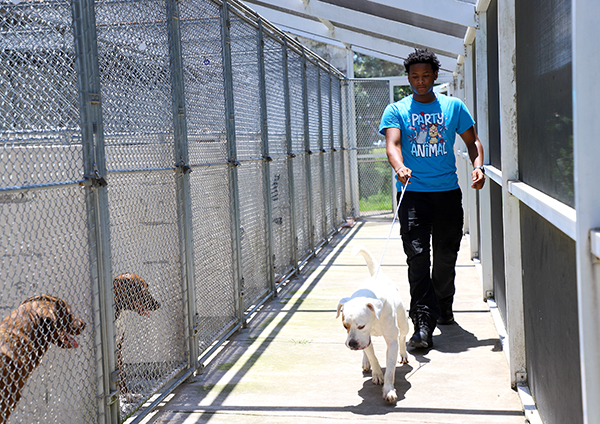 Summer Youth Employment Program Interns Summer Youth Employment Program Interns