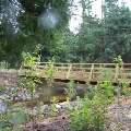 Jones Swamp Wood Bridge