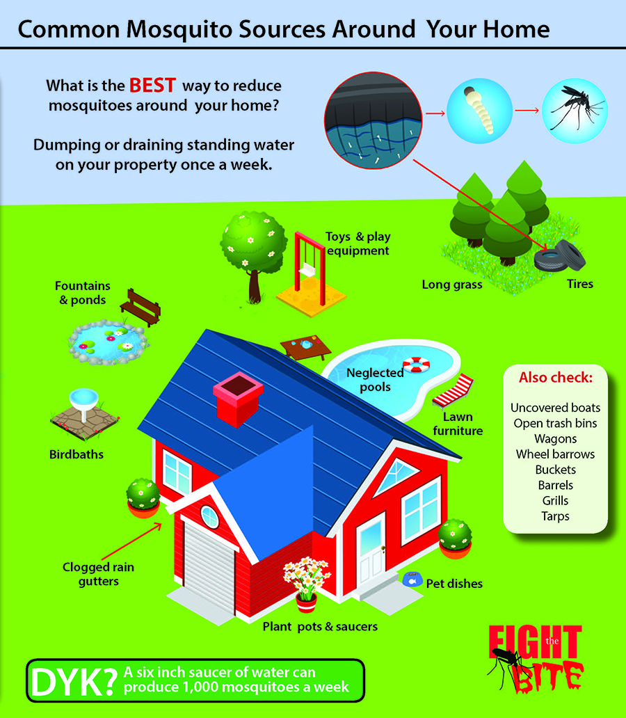 Common Mosquito Sources