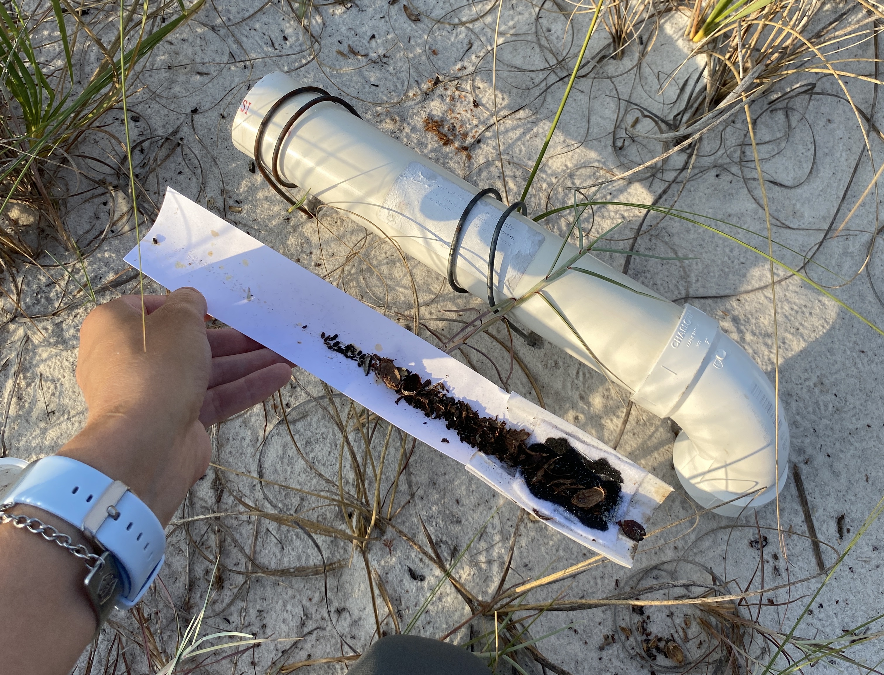 Track tube and tracking card during a monitoring check.