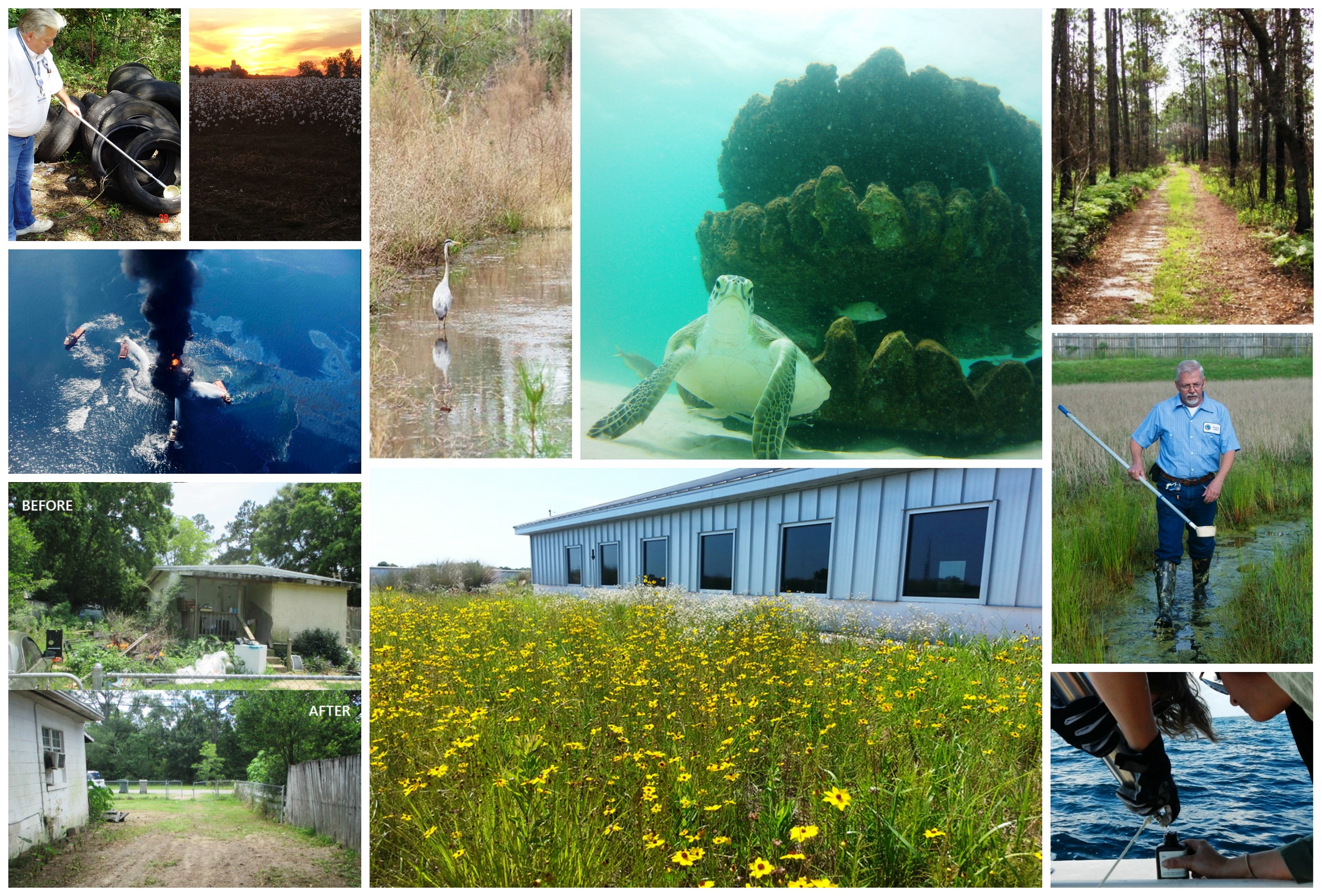 Natural Resources Collage