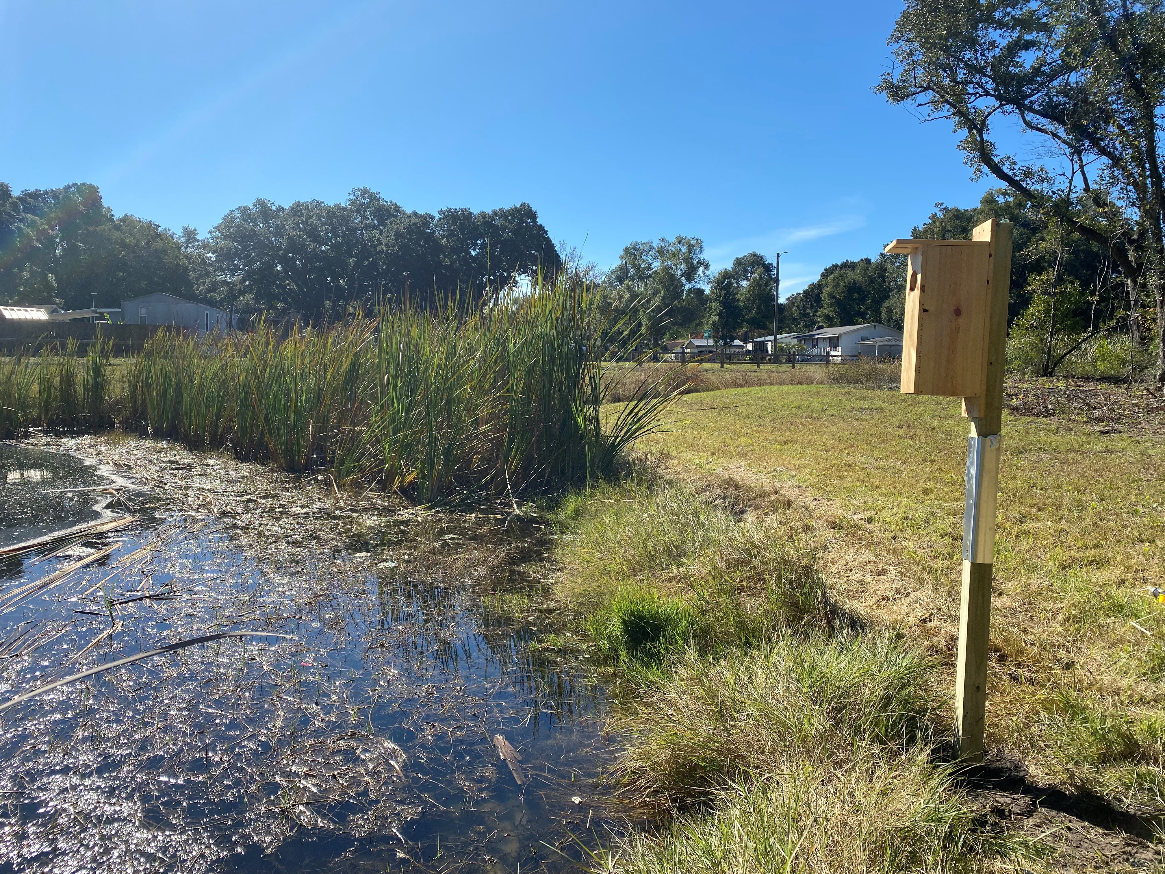 A wood duck box waits patiently for new residents in the Jones Swamp Wetland Preserve.