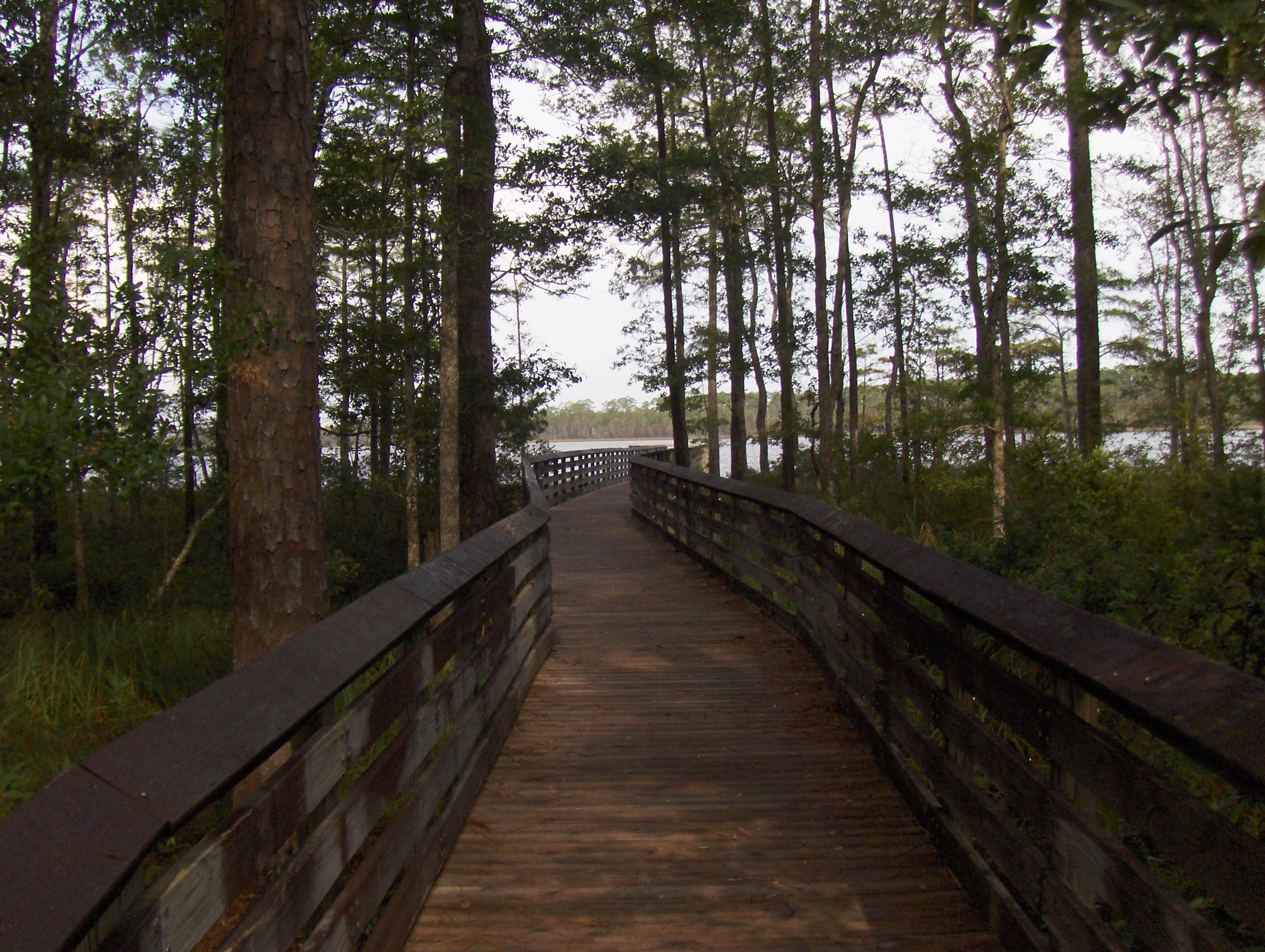 Tarkiln Bayou Baordwalk