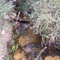 Burgess Rd