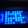 Water Quality Lab Micro Trays