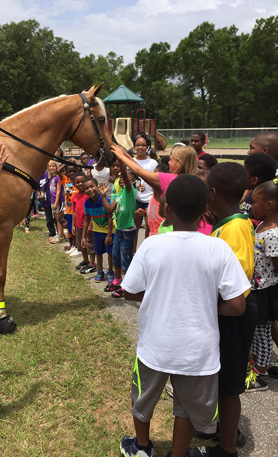 Ebonwood Sumer Camp Actvities 