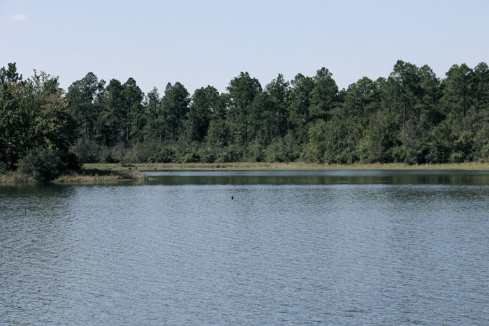 Lake Stone Campground2