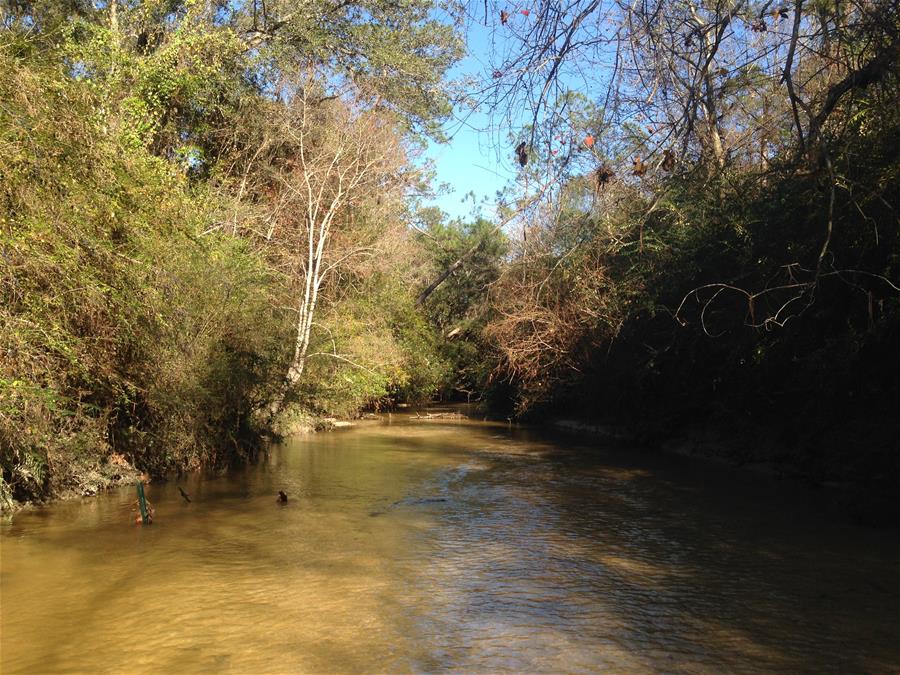 Eleven Mile Creek