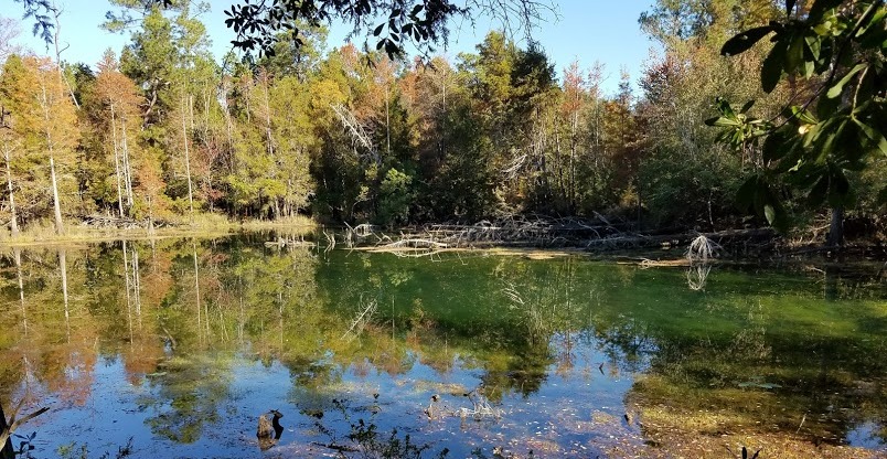 NRDA_Perdido River