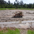 Pond Rehab