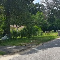 BrownsvilleSNC16