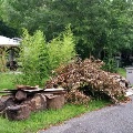 BrownsvilleSNC5