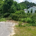 BrownsvilleSNC6