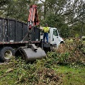 Neighborhood Cleanup Yard Debris