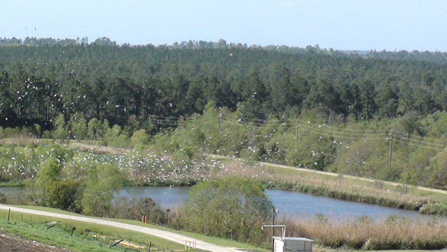 Stormwater Pond 