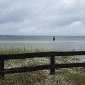 6 - Impacts from Hurricane Nate on Pensacola Beach on Sunday, Oct. 8, 2017.